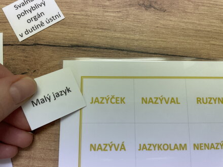 Obracečka význam slov - Vyjm. slova