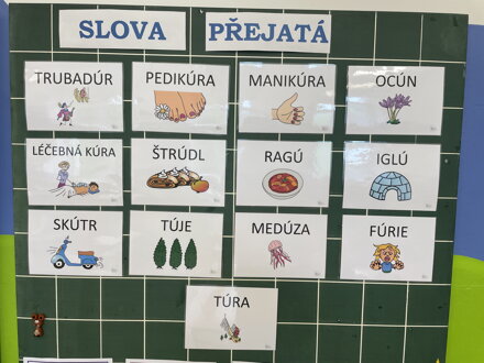 SLOVA S Ú - SLOVA PŘEJATÁ
