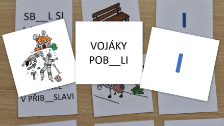 VYJMENOVANÁ SLOVA PO L– TRIO KARTY