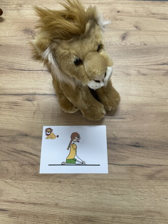 VOLÁNÍ AFRIKY MŠ
