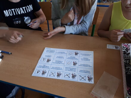Václavorky
